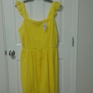 Loft plus size dress 20